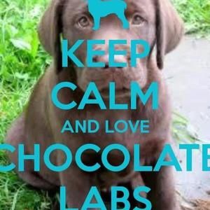 Meet your Posher, Billy